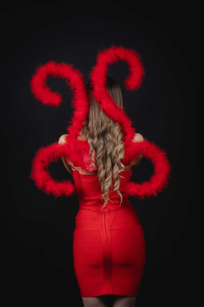 SENSUAL DEVIL COSTUME